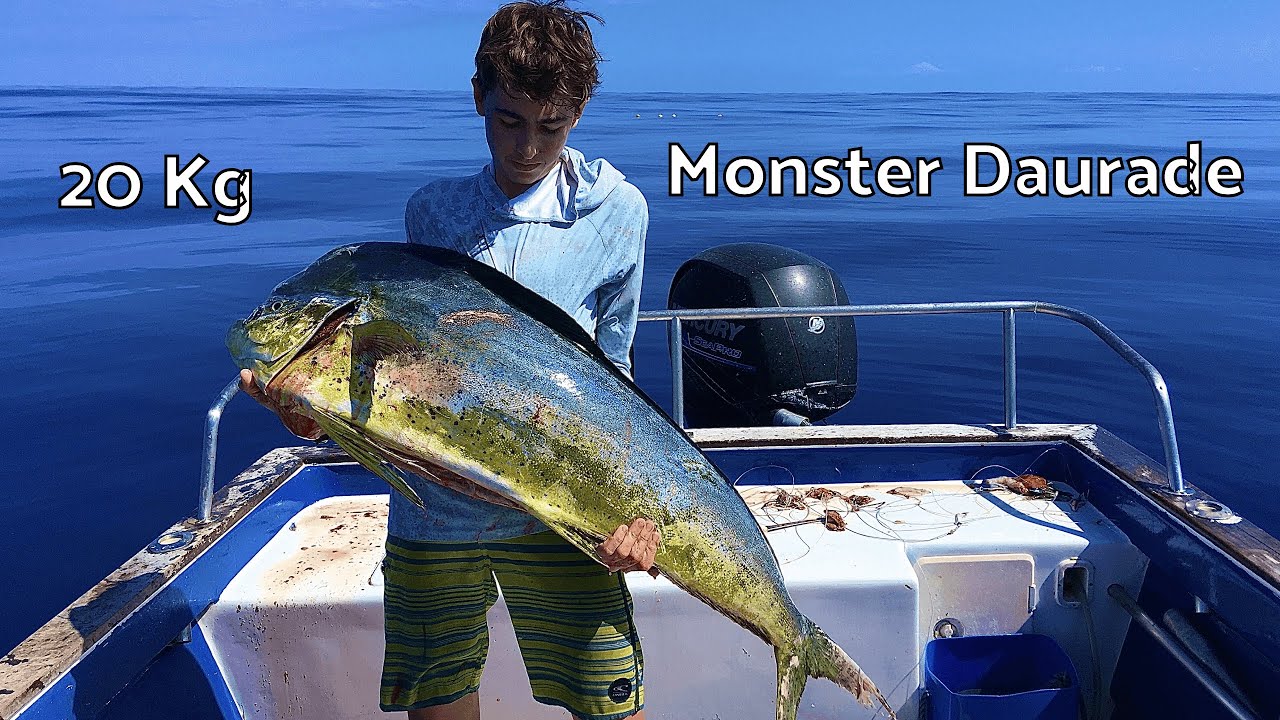 ENORME DAURADE ! (20 kg)  /Pêche sur DCP/ /ST BARTH/ - MF#7