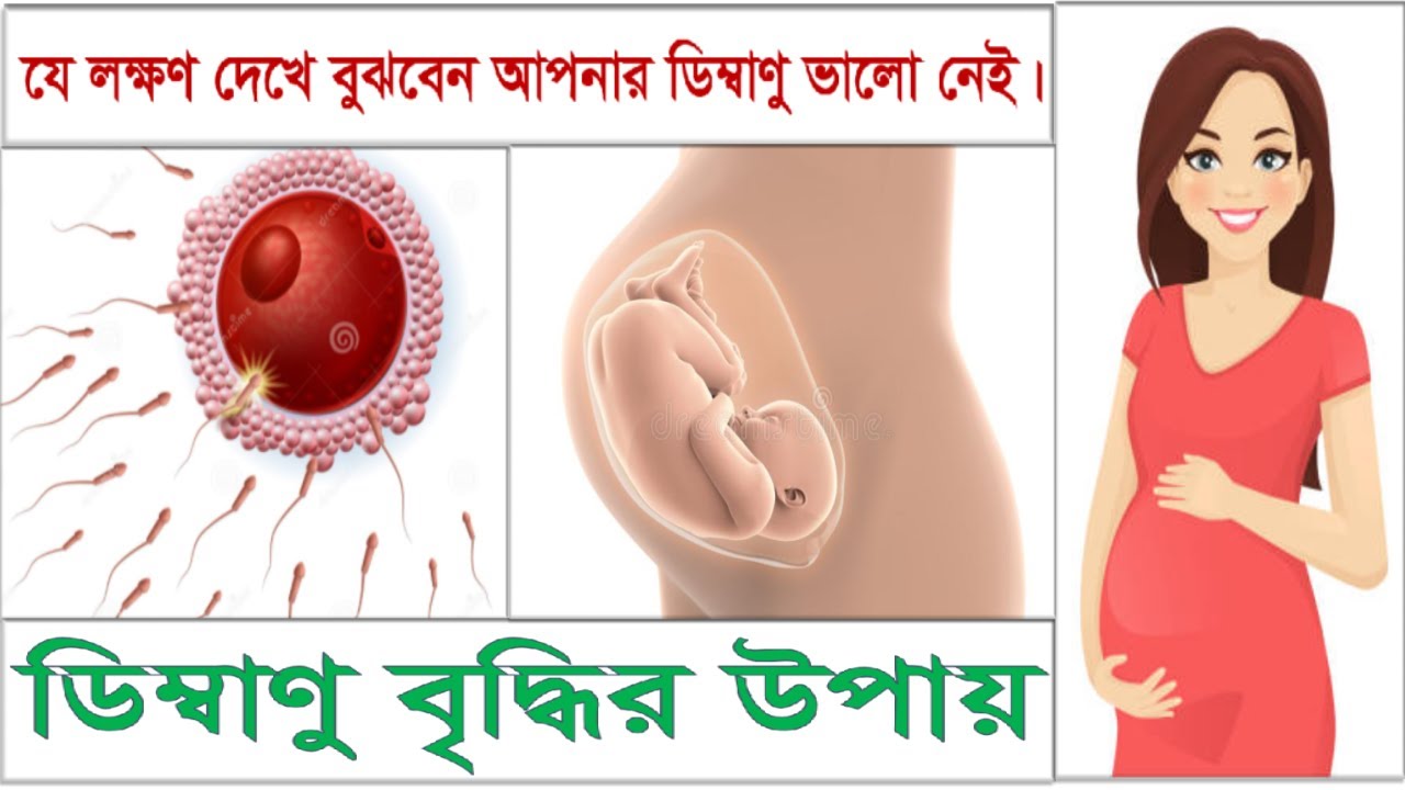 মেয়েদের ডিম্বাণুর গঠন ও গুনগত মান বৃদ্ধির উপায়। How to improve Egg Quality bangla.