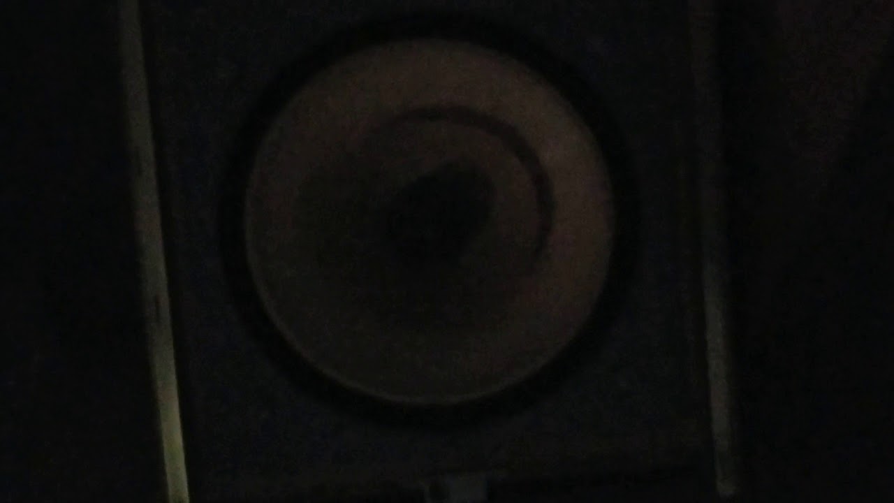 LOWTHER Dual-position Acousta With 211 power amp.