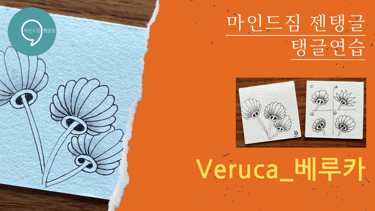 젠탱글 베루카 Zentangle Veruca