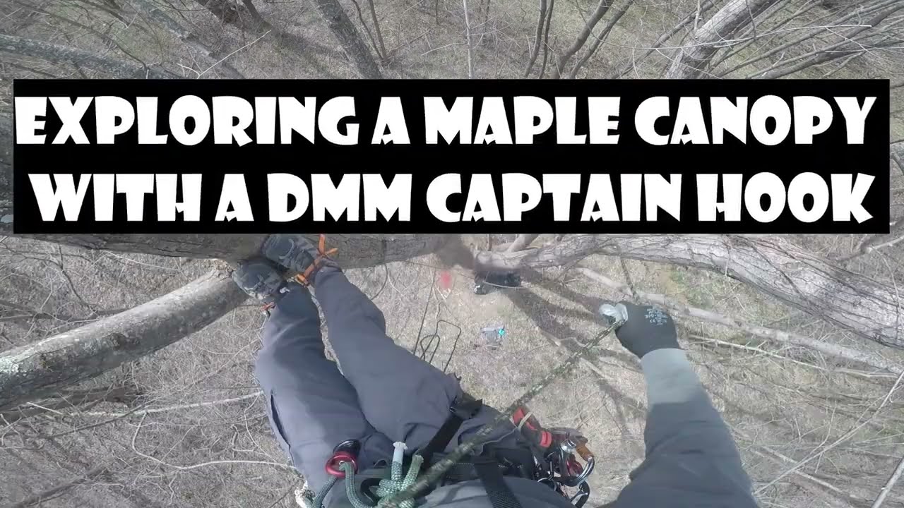 Traversing & Exploring a Maple Canopy with a DMM Captain Hook_Recreational Tree Climbing