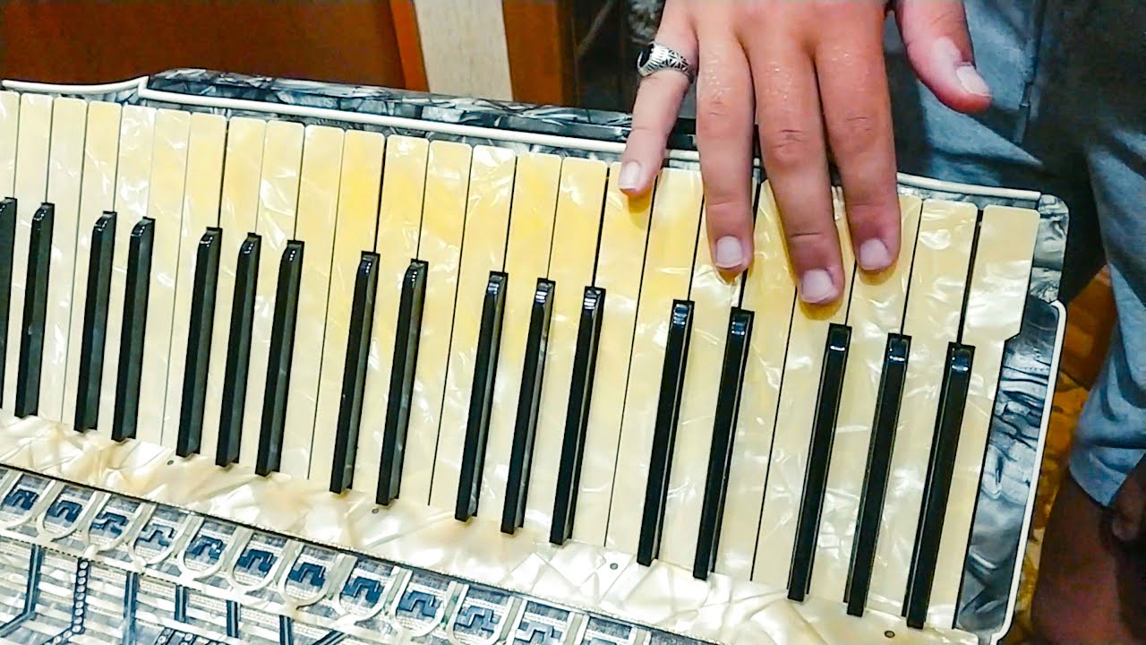 Трофей ! Супер Редкий Hohner 1055 аккордеон из Германии