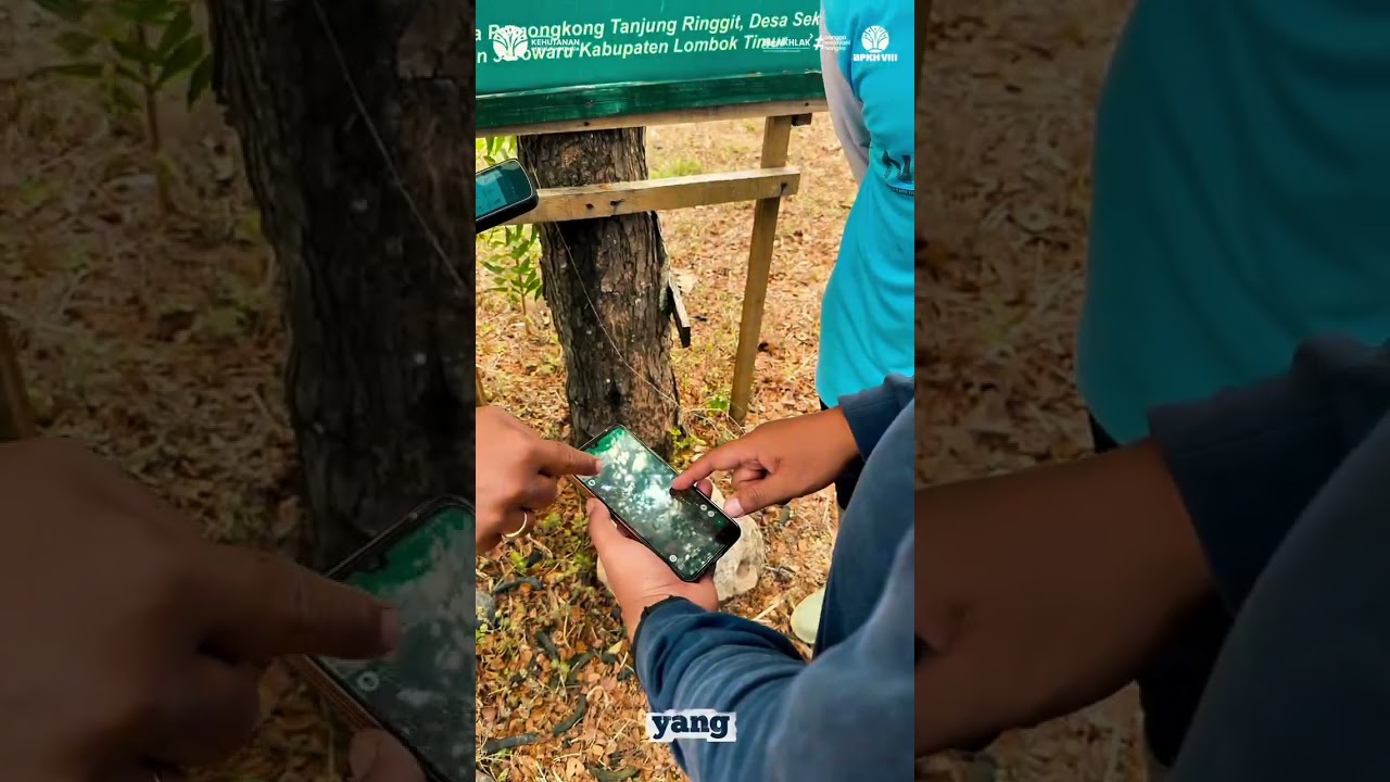 Apa Sih Orientasi Batas Kawasan Hutan Itu?
