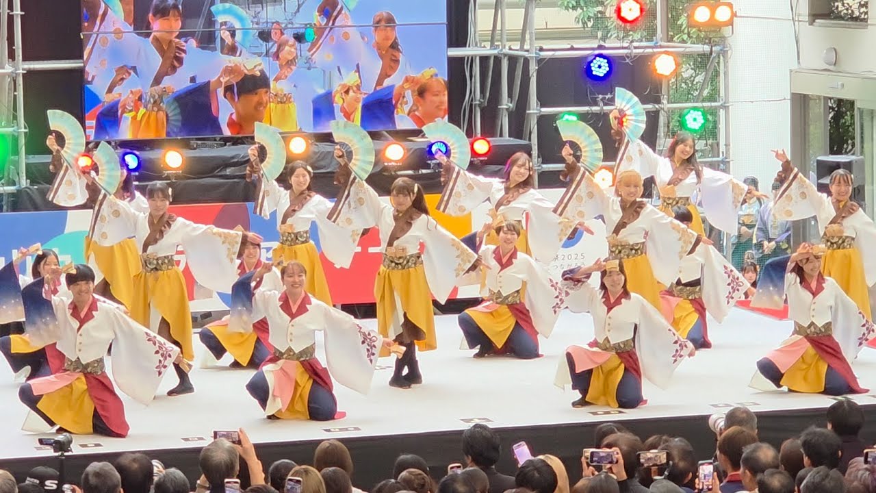 早稲田大学 東京花火 ｢彩の輪」戸山カフェテリア 早稲田祭2025 最終公演