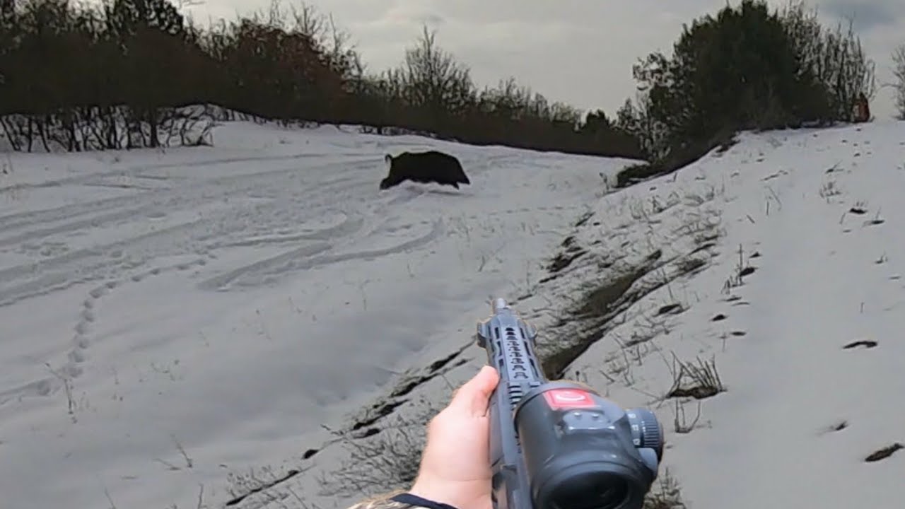 Barak Br99s ile karda yaban domuzu avı / Wild Boar hunting in Turkey