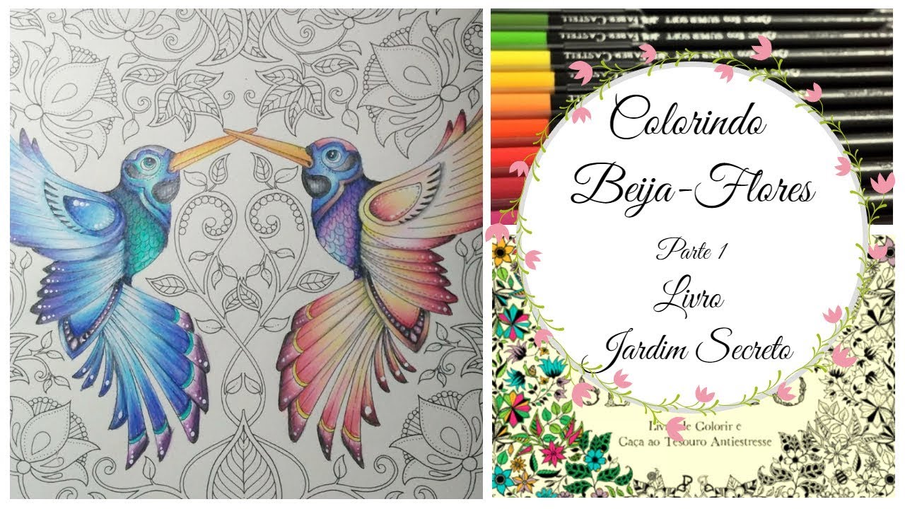 Jardim Secreto Colorindo Beija flores - Projeto Uma ilustração duas Ideias