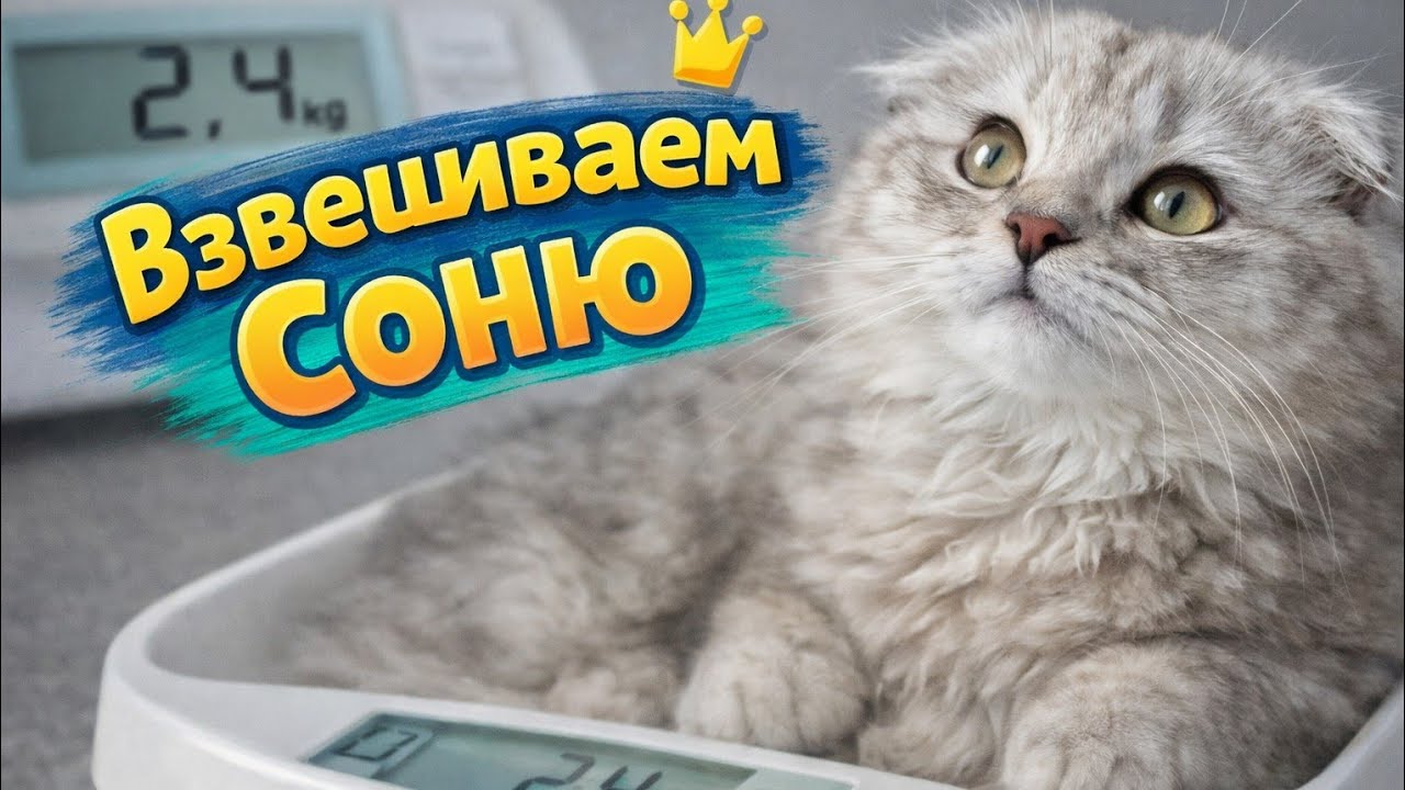 Взвешиваем Соню 😊