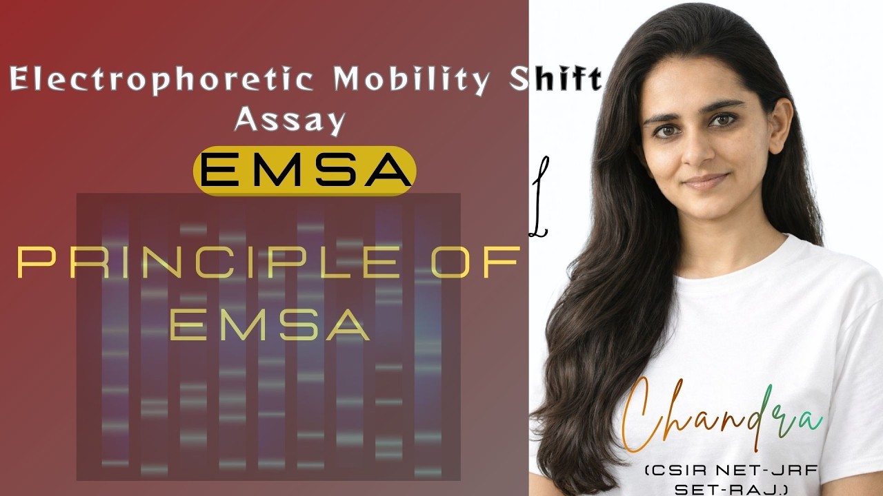 Part 1 – EMSA: Electrophoretic Mobility Shift Assay | Protein–DNA Interaction | #Biotechnology