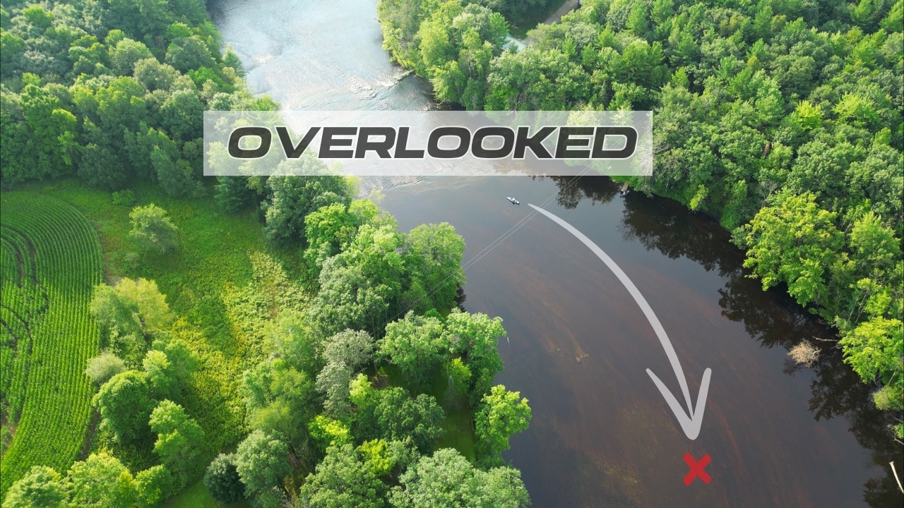 Catch Untouched Fish in Overlooked Areas Like These