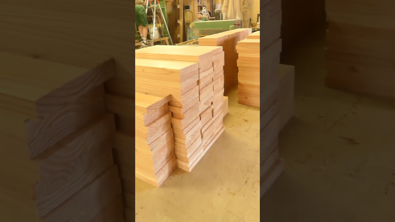 Protection ruche d'abeilles / Bee hive protection