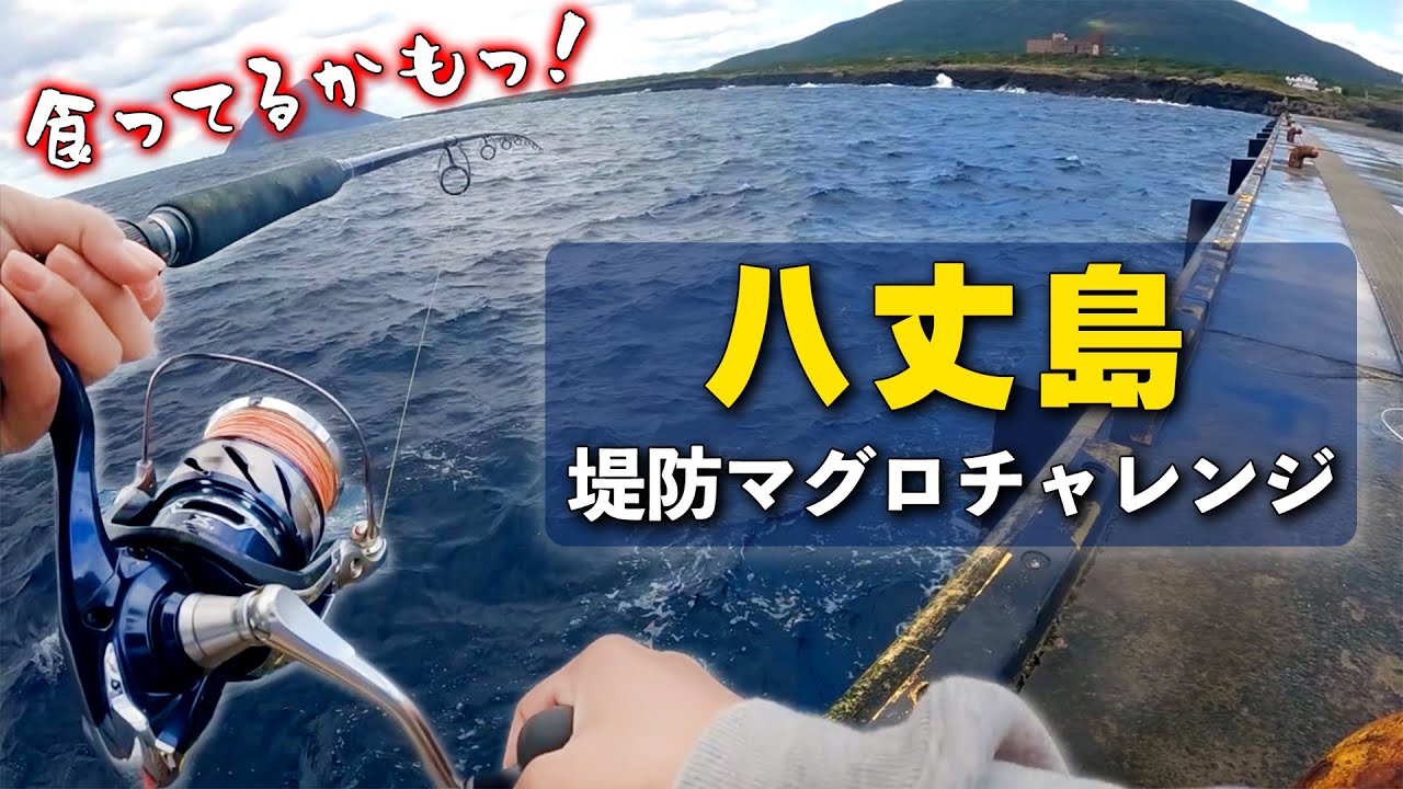 【八丈島#1】堤防からとんでもない生物が食らいついた・・・！