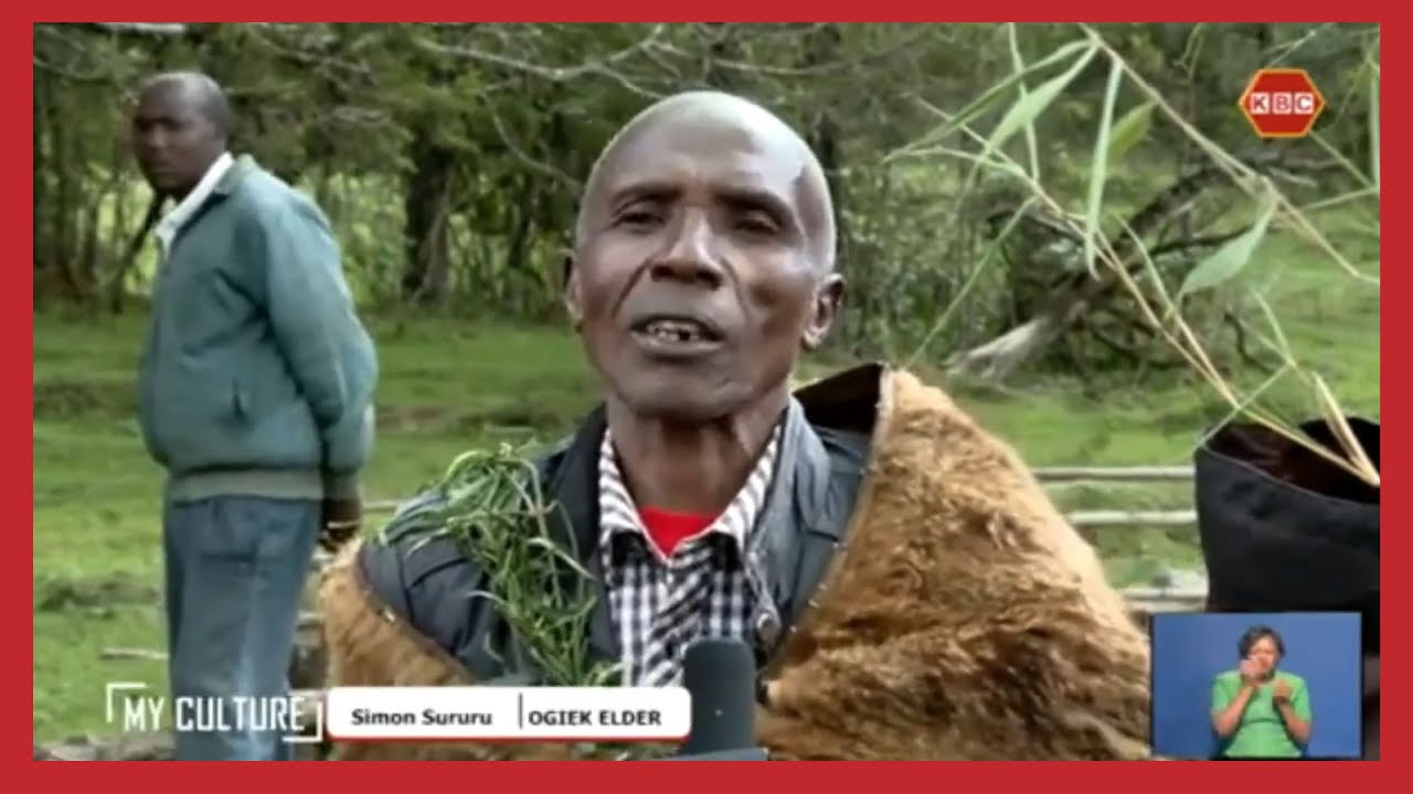 My Culture | The Ogieks of Mau Forest