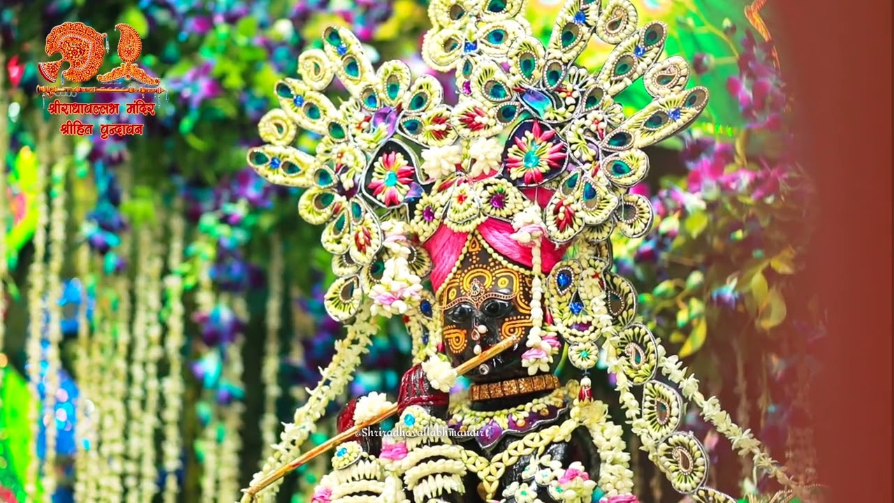Bani Shri Radha Mohan Ju Ki Jodi #hitchaurasi #radhavallabh