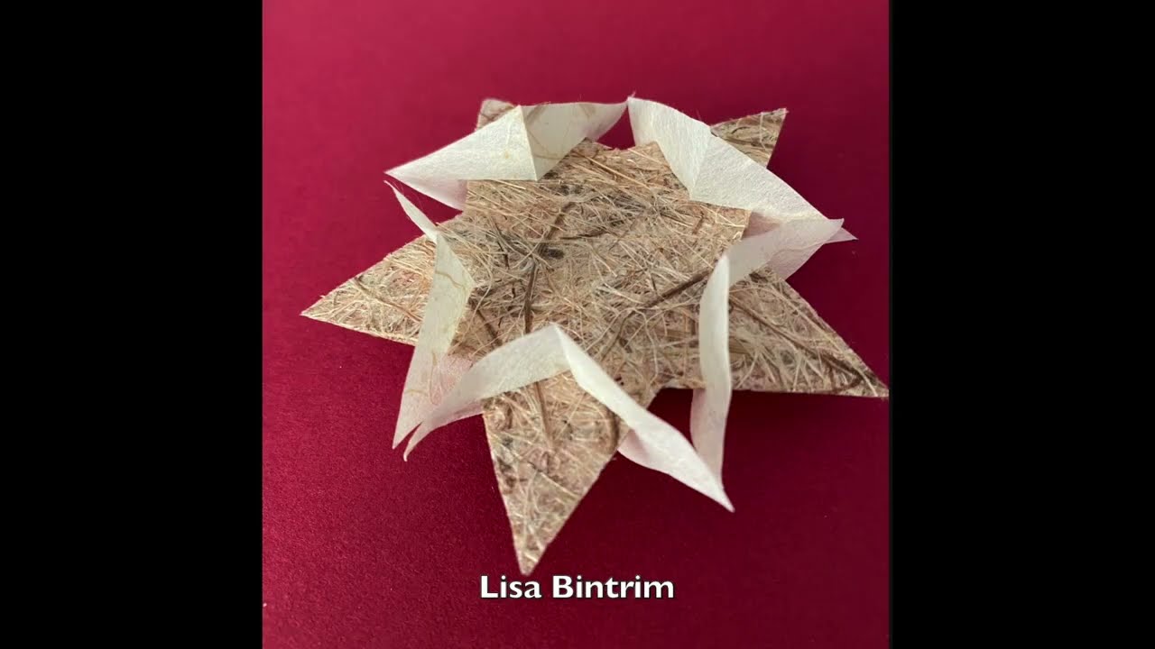 The Paper Year: Slit Stars (November 2025)