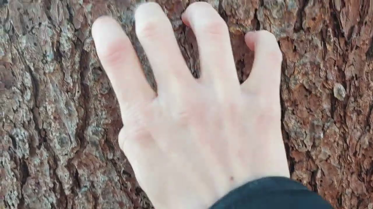 ASMR | Sounds Of Nature | crispy, crunchy, woody
