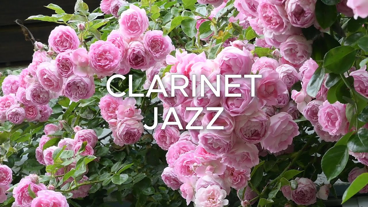 Clarinet Jazz | Smooth Jazz Instrumental (No Lyrics) Rose Garden | Study &middot; Work &middot; Relax BGM