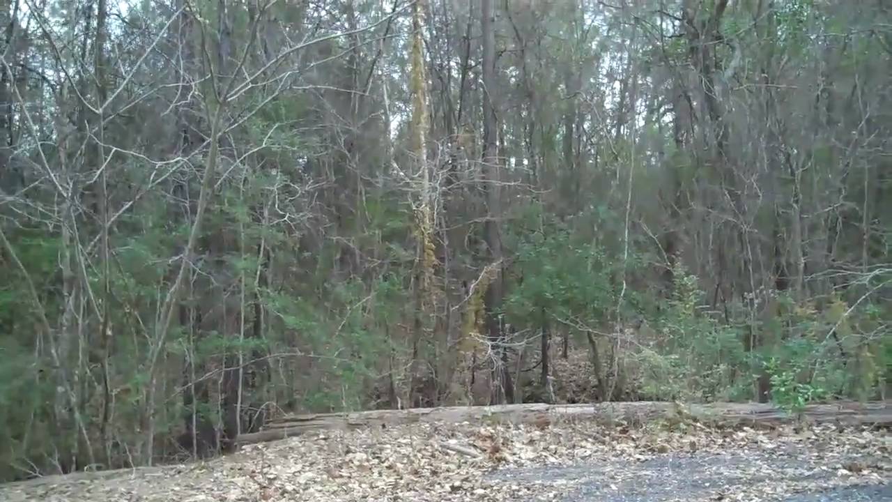 Whispering Pines 3 Lots in  Amberwood Humble TX 77338