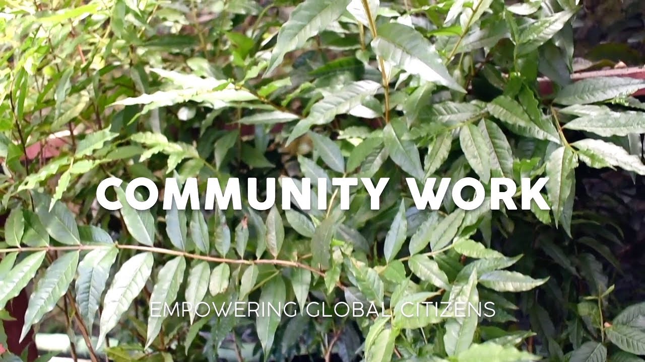 Community Work