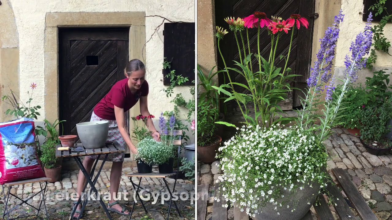 Hochsommer im Kübel