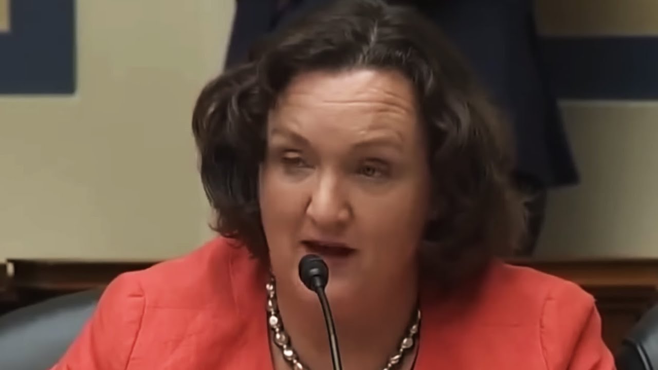 Corporate Stooges vs Katie Porter
