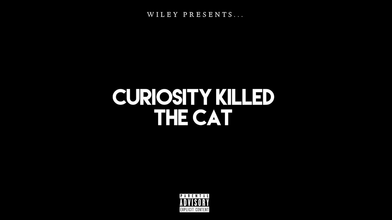 Wiley - Curiosity Killed The Cat