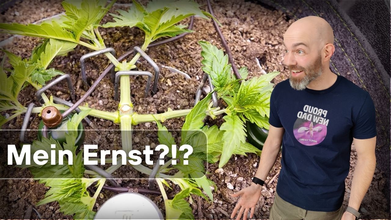 High(est) Stress Training - h&auml;lt sie das aus?