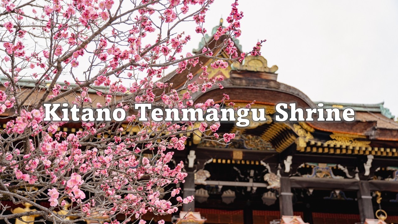Kitano Tenmangu Shrine Plum Bloom Festival / 北野天満宮 梅苑