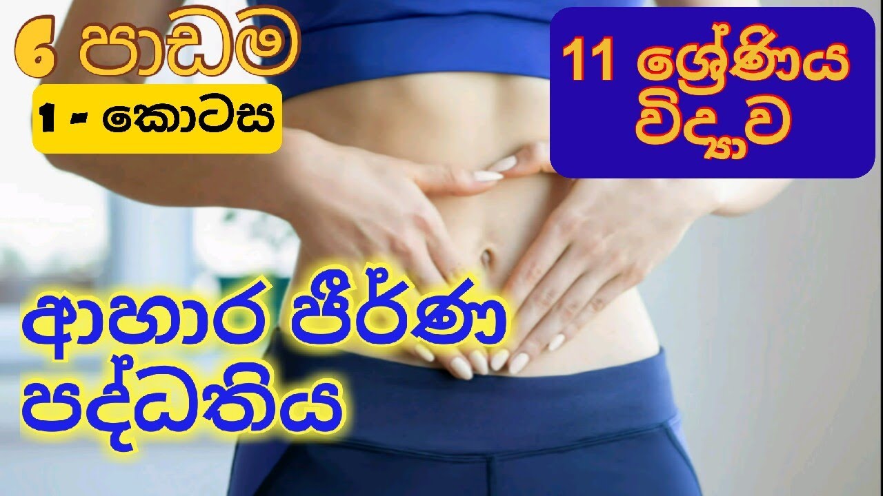 O/L Science Unit 6 |Grade 11 Science Unit 6 | Digestive System | Smart TextBook | Sinhala Medium |