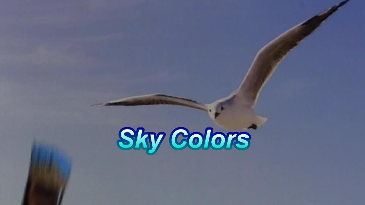 Quick Tip 202 - Sky Colors