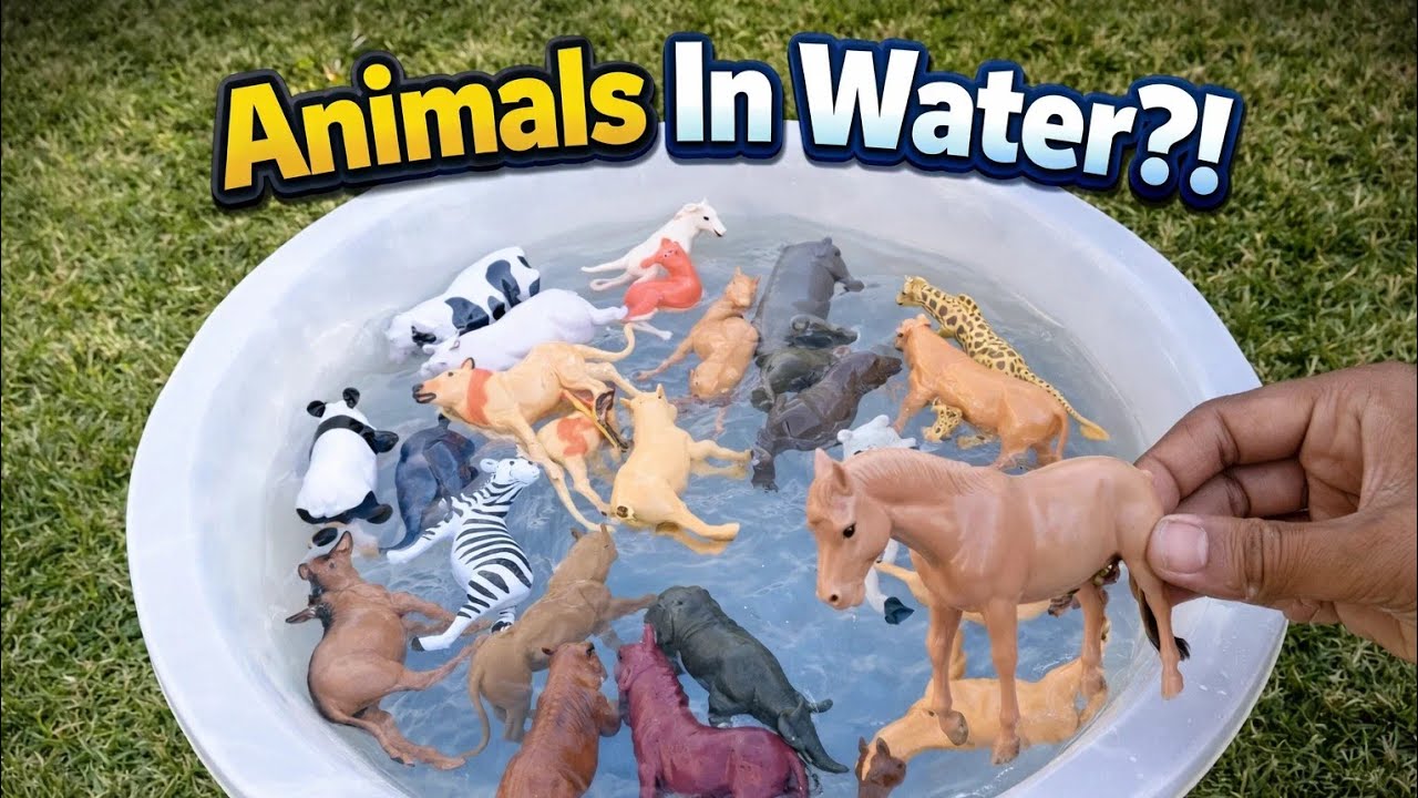 Elephant Water Fun – Splash & Move for Kids! 🐘💦