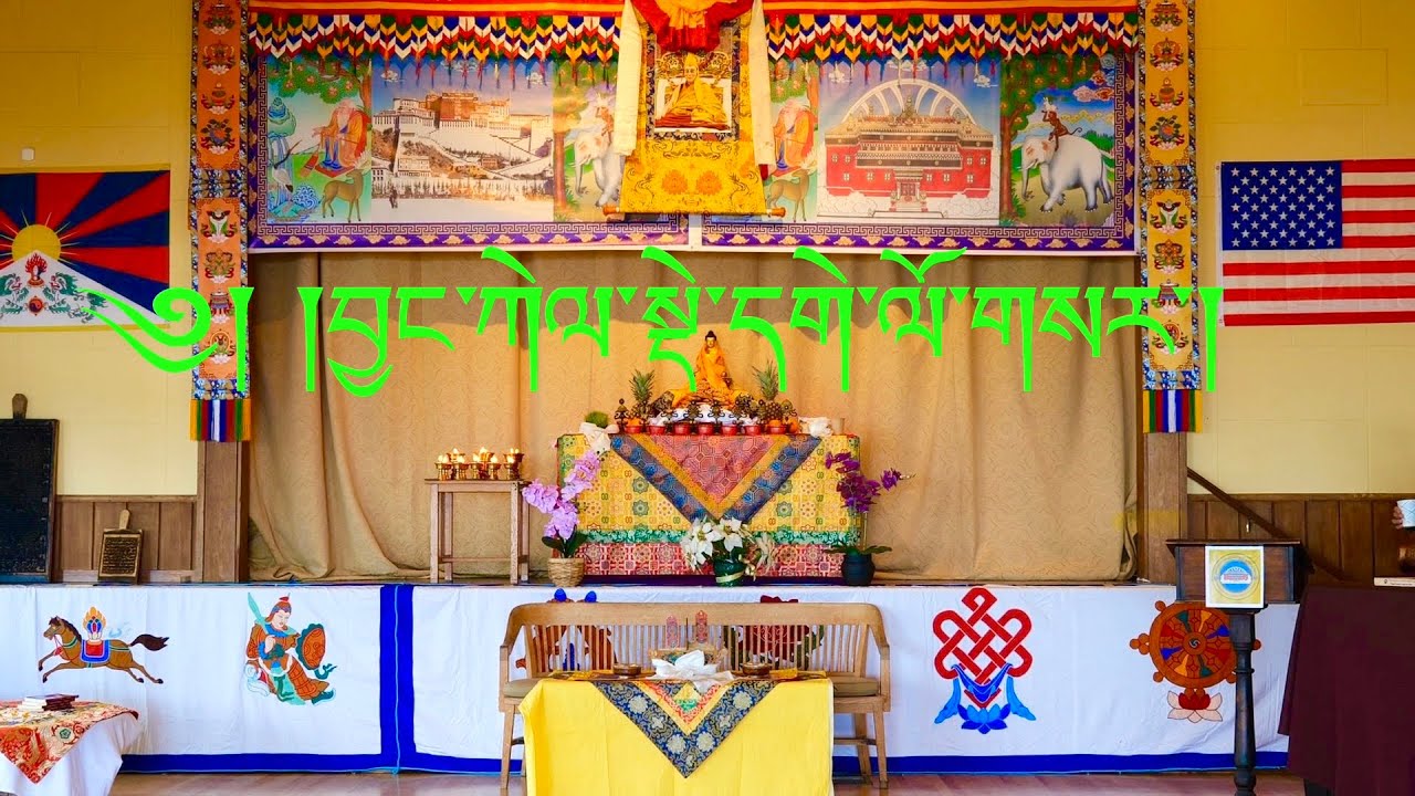 Тибетский Дохам Деге Лосар, район залива Калифорния, 28 февраля 2026 г. #tibetanvlog