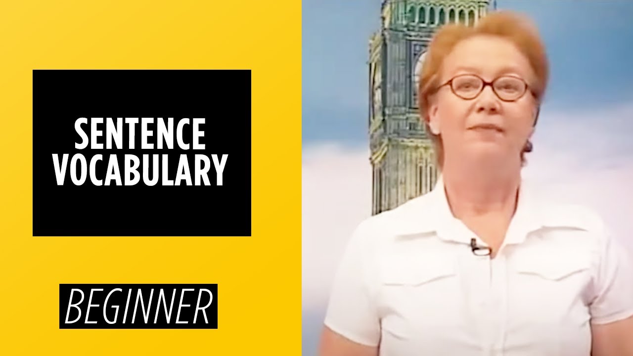 Beginner Level - Sentence Vocabulary | English For You