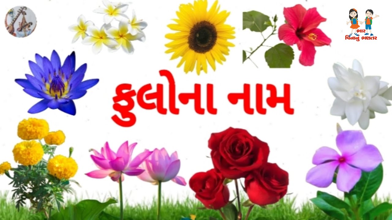 ફૂલોના નામ | Flower Name in Gujarati | For kids