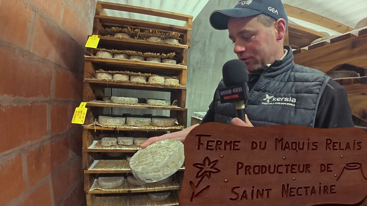 FERME DU MAQUIS RELAIS, producteur AOP Saint Nectaire affiné à la ferme à Anzat-le-Luguet