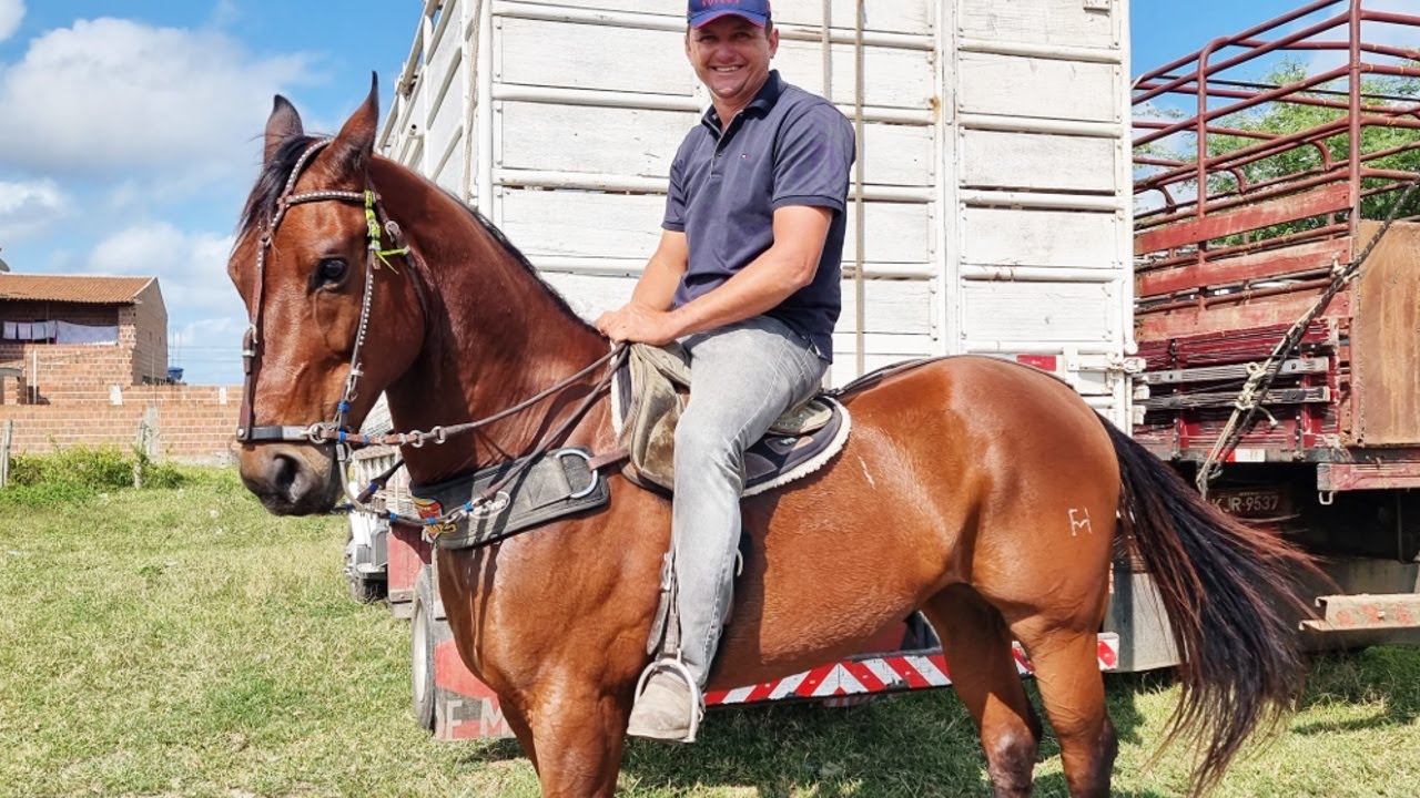 FEIRA DE CAVALOS EM CACHOEIRINHA-PE    14-09-2023  #nordeste