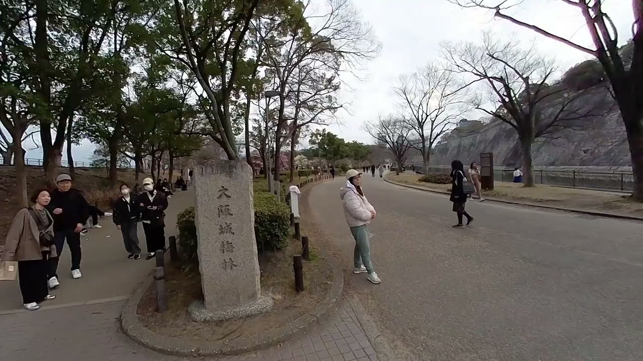 2026/2/15  大坂城梅林