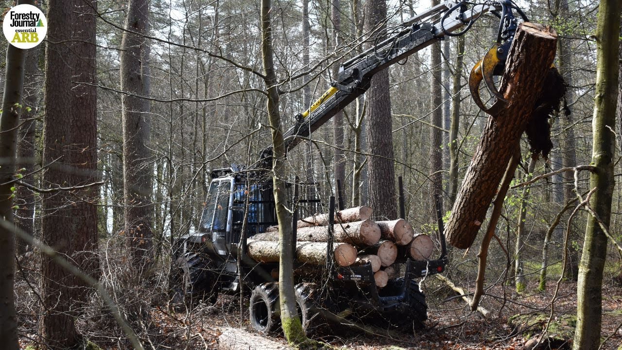 What does the future hold for low-impact machinery in forestry?