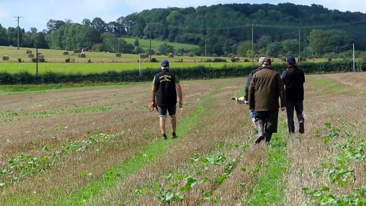 SULTANE de la plume Picarde: le Puits 2023