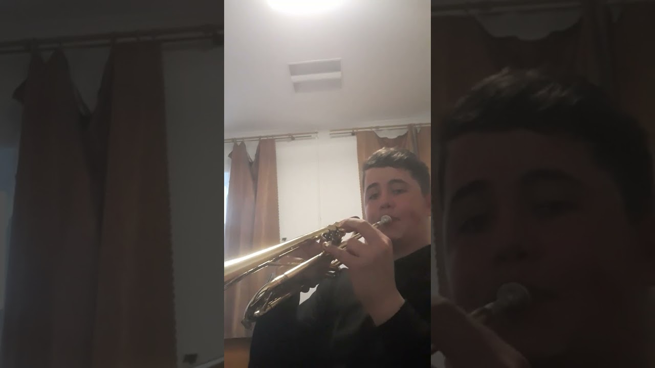 Hora de la nord соло на трубі