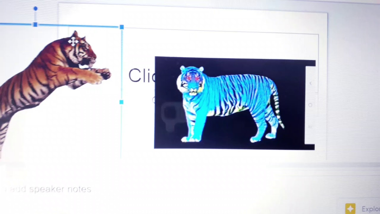 Dark Tiger Says Yes Dark Evil Cat Koopa/ Grounded