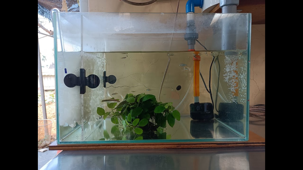 K1濾材直接在魚缸內使用