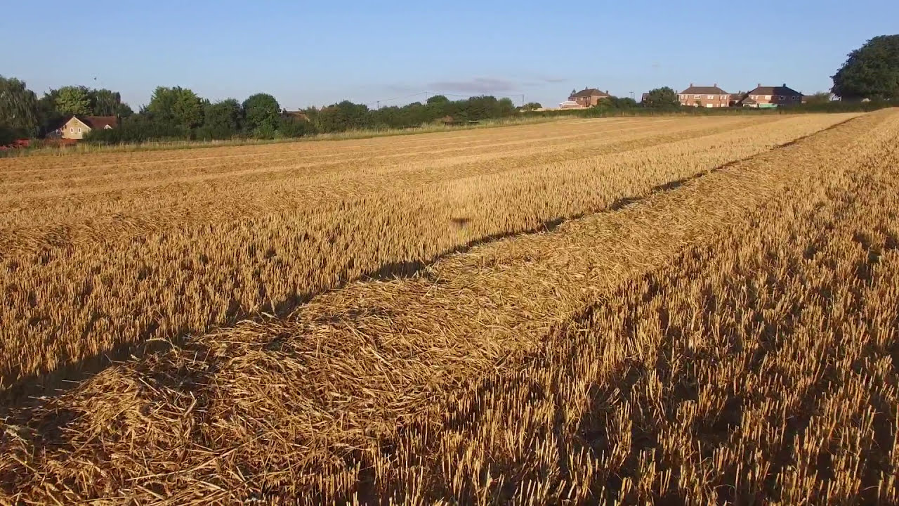 Harvest time in Dorset - peaceful slow video with calm music