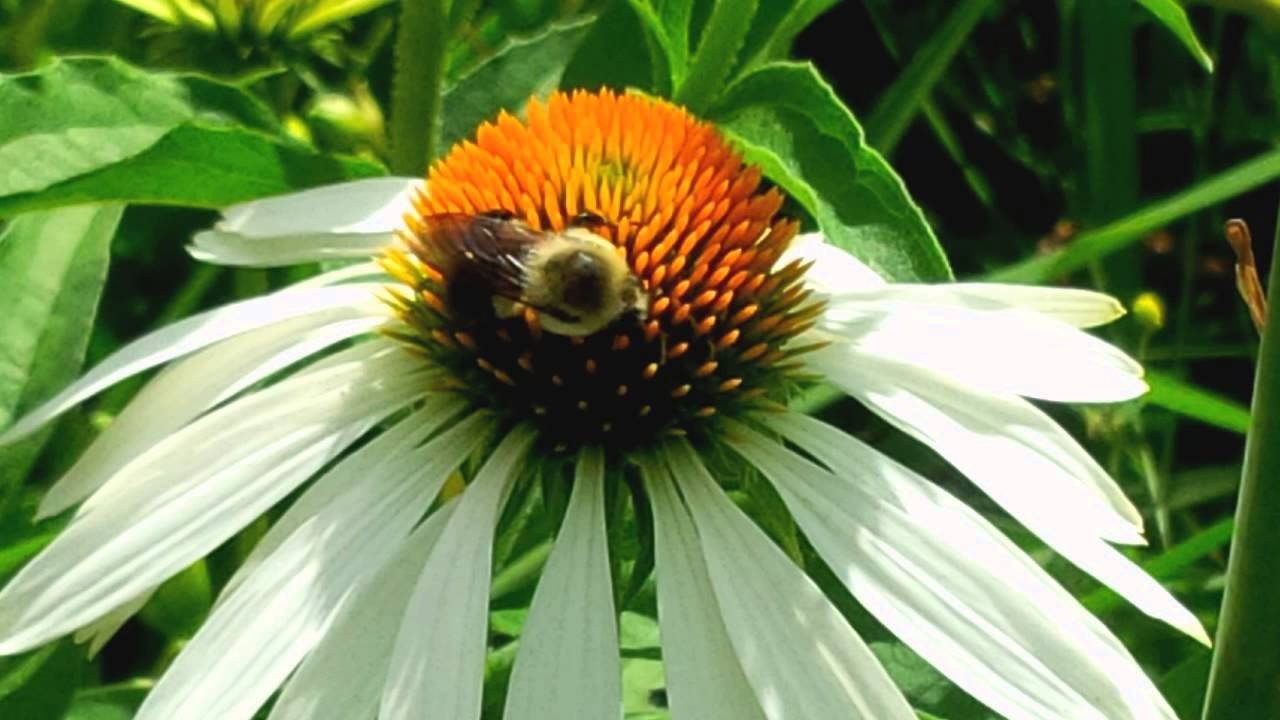 A glimpse of Gardens Plus