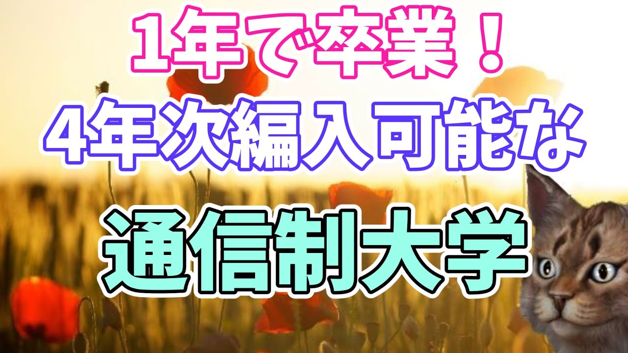 四年次編入可能な通信制大学【通信制大学の選び方】大手前大学、武蔵野大学、日本福祉大学、東京福祉大学、八洲学園大学、産業能率大学、星槎大学