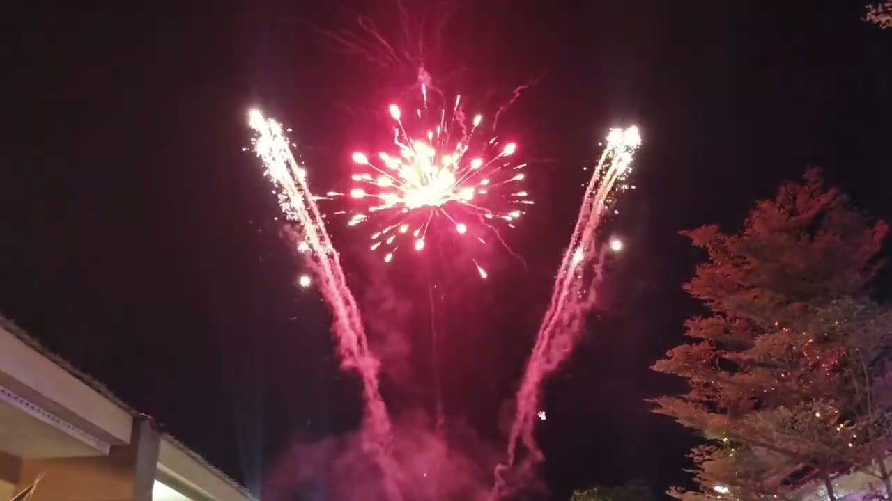 NEW EFFECTS OF BEAUTYFUL DECORATION 228 SHOTS BY DIAMOND FIREWORKS