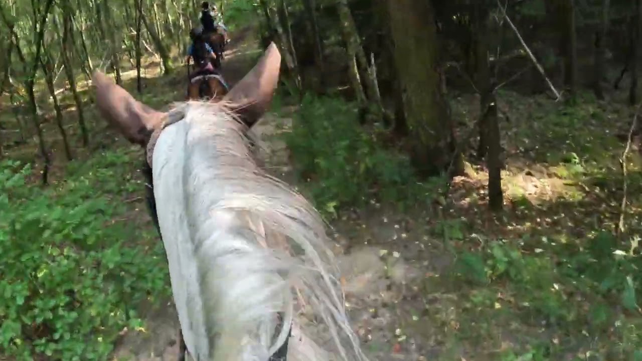 Vlog z mojego terenu na krakersie🔥🫶🏻z lata
