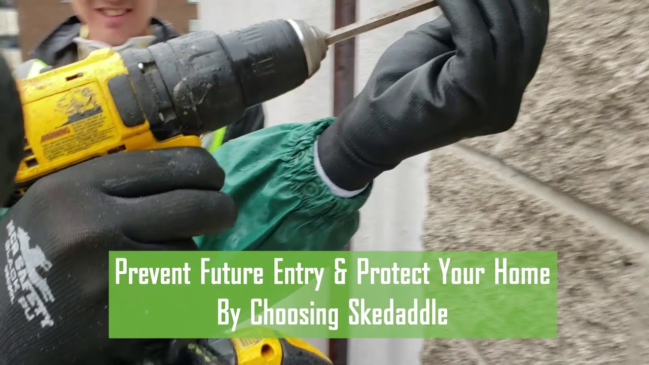 Skedaddle's Process - Prevent & Protect