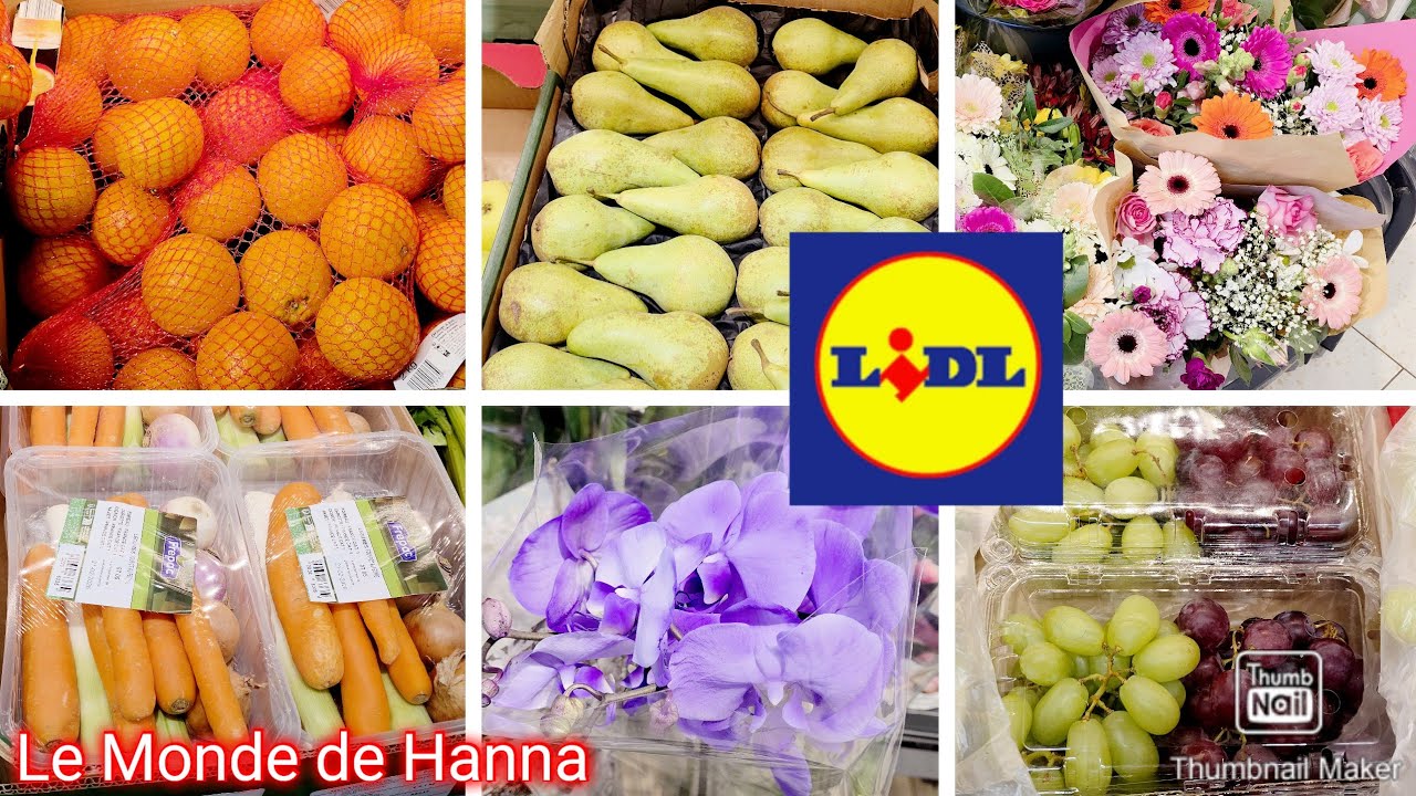 LIDL FRANCE ARRIVAGE 19-02 PLANTES, FRUITS ET L&Eacute;GUMES 