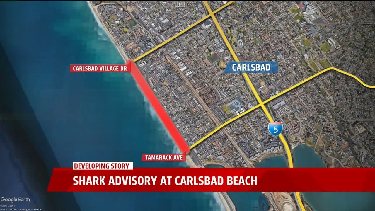 Shark Advisory At Carlsbad Beach