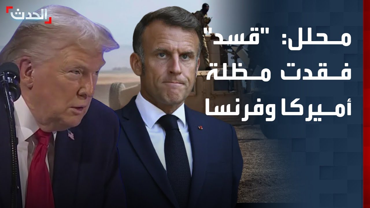 باحث: 